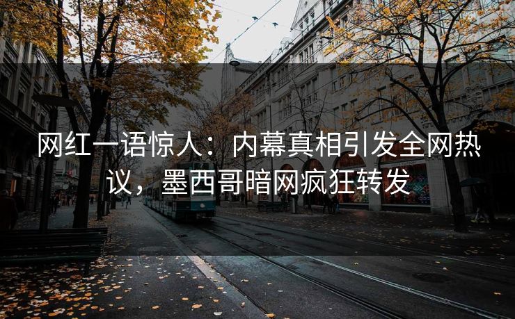网红一语惊人：内幕真相引发全网热议，墨西哥暗网疯狂转发