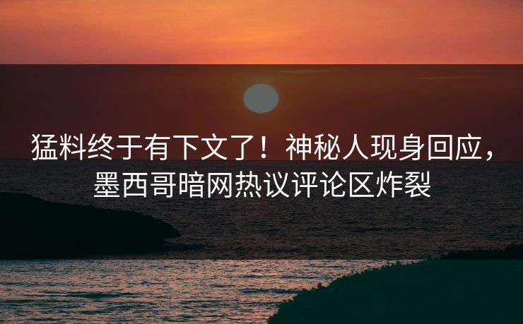 猛料终于有下文了！神秘人现身回应，墨西哥暗网热议评论区炸裂