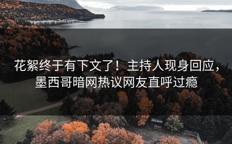 花絮终于有下文了！主持人现身回应，墨西哥暗网热议网友直呼过瘾