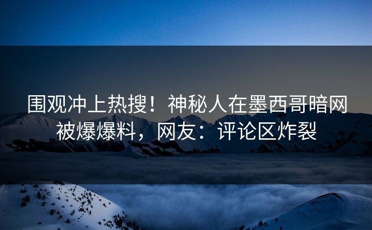 围观冲上热搜！神秘人在墨西哥暗网被爆爆料，网友：评论区炸裂