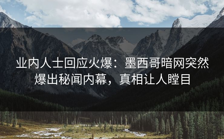 业内人士回应火爆：墨西哥暗网突然爆出秘闻内幕，真相让人瞠目